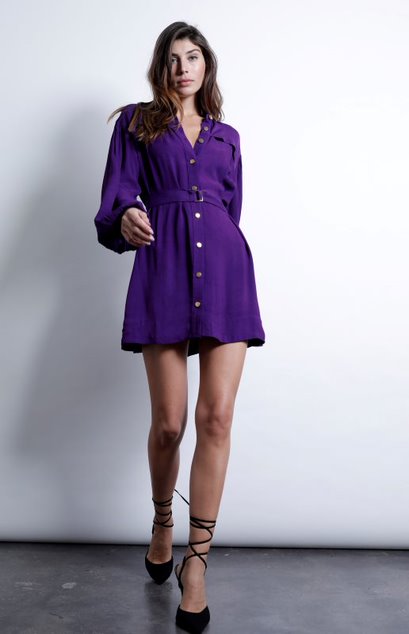 Alina Mini Dress Purple